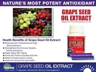 Essensa Naturale business presentation