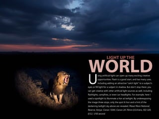 sing artificial light can open up many exciting creative
opportunities. Flash is a good start, and has many uses,
Uincluding adding an attractive “catch light” to a subject’s
eyes or fill light for a subject in shadow. But don’t stop there: you
can get creative with other artificial light sources as well, including
flashlights, campfires, or even car headlights. For example, here I
used a spotlight to illuminate a lion at twilight. By underexposing
the image three stops, only the spot lit lion and a hint of the
darkening twilight sky above are revealed. Masai Mara National
Reserve, Kenya. Canon 1DXII, Canon 24-70mm f/2.8 lens, ISO 320,
f/3.2, 1/50 second.
LIGHT UP THE
WORLD
 