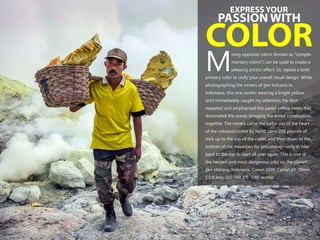 EXPRESS YOUR
PASSION WITH
COLORixing opposite colors (known as “comple-
mentary colors”) can be used to create a
Mpleasing artistic effect. Or, repeat a bold
primary color to unify your overall visual design. While
photographing the miners of Ijen Volcano in
Indonesia, this one worker wearing a bright yellow
shirt immediately caught my attention; his shirt
repeated and emphasized the pastel yellow tones that
dominated the scene, bringing the entire composition
together. The miners carve the sulfur out of the heart
of the volcano’s crater by hand, carry 200 pounds of
rock up to the top of the crater, and then down to the
bottom of the mountain for processing—only to hike
back to the top to start all over again. This is one of
the hardest and most dangerous jobs on the planet!
Ijen Volcano, Indonesia. Canon 5DIII, Canon 24-70mm
f/2.8 lens, ISO 100, f/5, 1/80 second.
 
