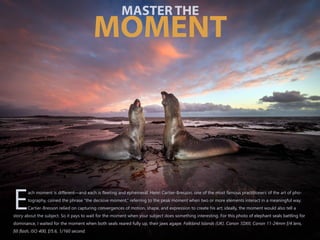 ach moment is different—and each is fleeting and ephemeral. Henri Cartier-Bresson, one of the most famous practitioners of the art of pho-
tography, coined the phrase “the decisive moment,” referring to the peak moment when two or more elements interact in a meaningful way.
ECartier-Bresson relied on capturing convergences of motion, shape, and expression to create his art; ideally, the moment would also tell a
story about the subject. So it pays to wait for the moment when your subject does something interesting. For this photo of elephant seals battling for
dominance, I waited for the moment when both seals reared fully up, their jaws agape. Falkland Islands (UK). Canon 1DXII, Canon 11-24mm f/4 lens,
fill flash, ISO 400, f/5.6, 1/160 second.
MASTER THE
MOMENT
 