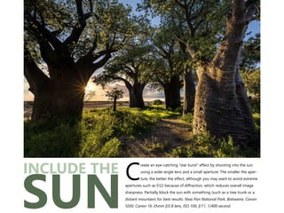 reate an eye-catching “star burst” effect by shooting into the sun
using a wide-angle lens and a small aperture. The smaller the aper-
Cture, the better the effect, although you may want to avoid extreme
apertures such as f/22 because of diffraction, which reduces overall image
sharpness. Partially block the sun with something (such as a tree trunk or a
distant mountain) for best results. Nxai Pan National Park, Botswana. Canon
5DIII, Canon 16-35mm f/2.8 lens, ISO 100, f/11, 1/400 second.
INCLUDE THE
SUN
 