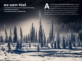 1. Constituting or being part of the essence of something.
2. Something fundamental.
3. Something necessary or indispensable.
es·sen·tial rt is the act of uncovering the hidden essence, stripping
away all artifice, baring truth to the world. Only when the
Anon-essential has been removed can the artist reveal the
secret side of things, and truly express what the heart sees but the
eyes do not. Only the essential can survive. Banff National Park,
Canada. Panasonic Lumix DMC-FZ1000, ISO 125, f/8, 1/1600 second.
 