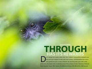 on’t always try to get a clean shot. Use “screens” (obstructions between your
lens and your subject) to add color and mystery. I photographed this moun-
Dtain gorilla through a screen of leaves. By shooting wide open with a tele-
photo lens, the leaves were rendered as out-of-focus blurs of color. Volcanoes National
Park, Rwanda. Canon 70D, Tamron 70-200mm f/2.8 lens, ISO 200, f/2.8, 1/500 second.
SHOOTING
HAS ITS REWARDS
THROUGH
 