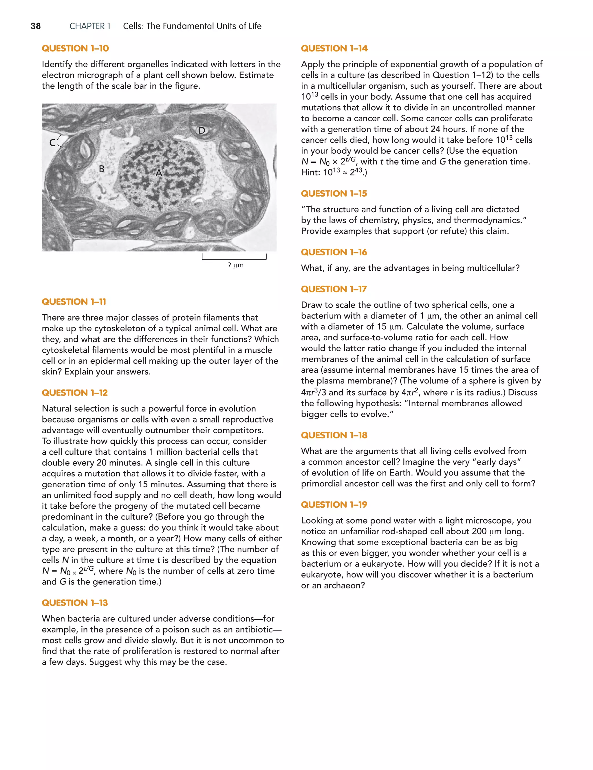 Essential Cell Biology (5th) | PDF