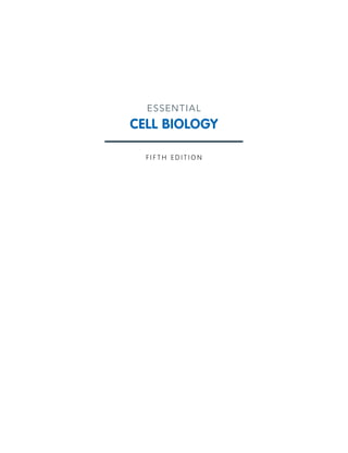 Essential Cell Biology (5th) | PDF