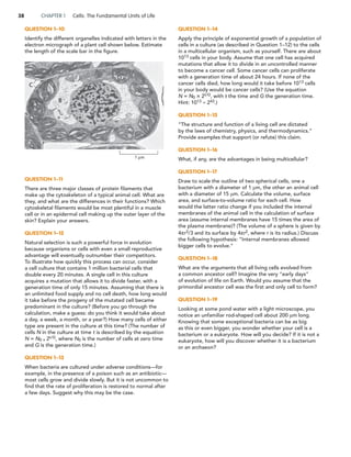 Essential Cell Biology (5th) | PDF