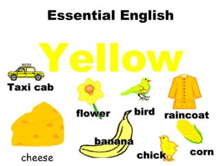 Essential English Yellow banana flower bird raincoat corn chick Taxi cab 