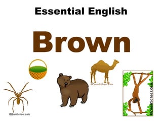 Essential English Brown 