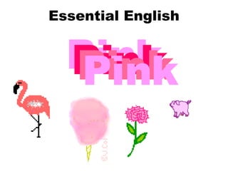 Essential English Pink Pink Pink Pink 