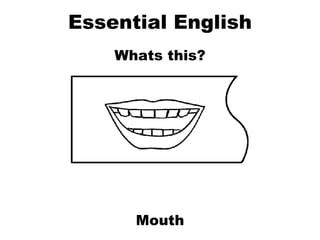 Essential English Whats this? Mouth 