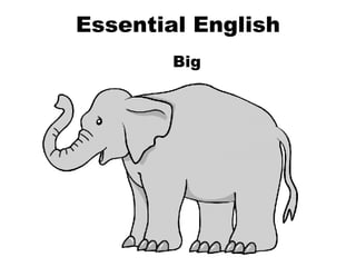 Essential English Big 