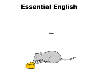 Essential English Small 