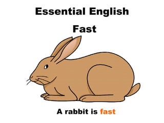 Essential English Fast  A rabbit is  fast 
