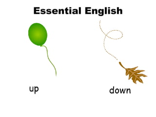 Essential English 