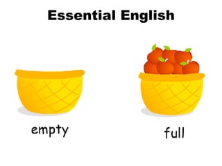 Essential English 