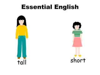 Essential English 