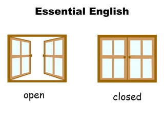 Essential English 