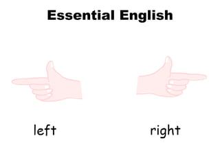Essential English 