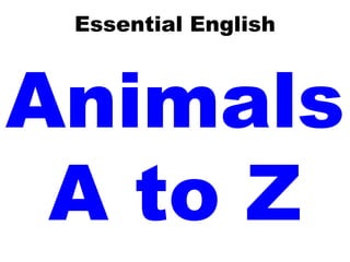 Essential English Animals A to Z 