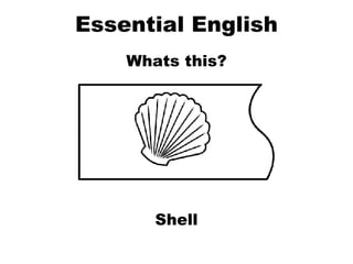 Essential English Whats this? Shell 