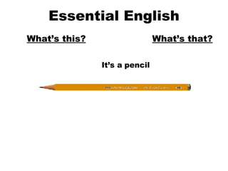 Essential English What’s this? What’s that? It’s a pencil 