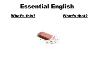 Essential English What’s this? What’s that? 