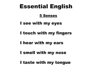 Essential English 5 Senses I see with my eyes I touch with my fingers I hear with my ears I smell with my nose I taste with my tongue   