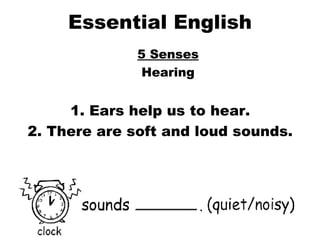 Essential English 5 Senses Hearing 1. Ears help us to hear. 2. There are soft and loud sounds. 
