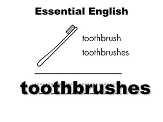 Essential English Word Plurals toothbrushes 