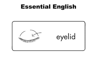 Essential English 