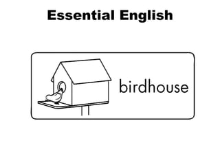 Essential English 