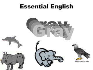 Essential English Gray Gray Gray Gray 