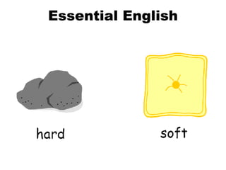 Essential English 