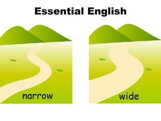 Essential English 