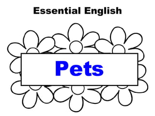 Essential English Pets 