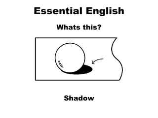 Essential English Whats this? Shadow 