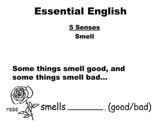 Essential English 5 Senses Smell Some things smell good, and some things smell bad…  