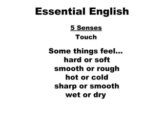 Essential English 5 Senses Touch Some things feel…  hard or soft smooth or rough hot or cold sharp or smooth wet or dry   