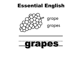 Essential English Word Plurals grapes 