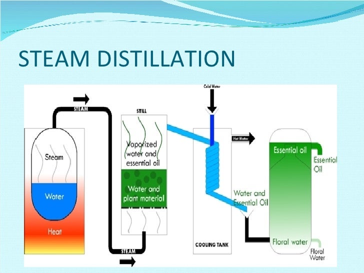 Essential Oil Production