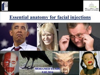 Essential anatomy for facial injections
MOHAMED ELADL
9.05.2014
 