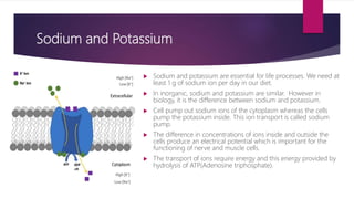 Inorganic Elements in the chemistry of life. | PPTX