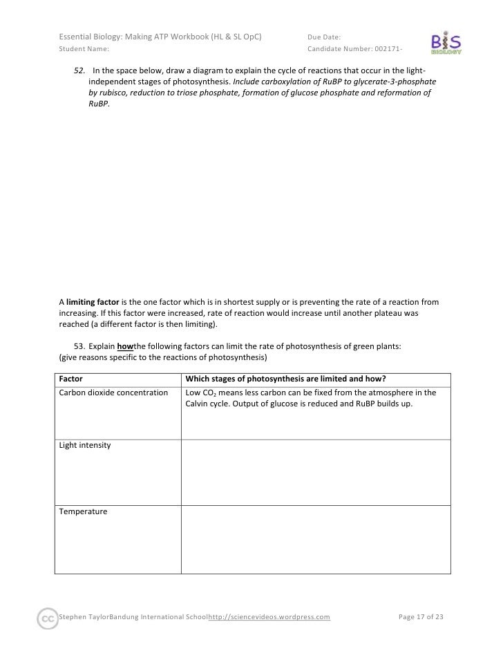 Atp The Free Energy Carrier Pogil Answer Key Wasfa Blog