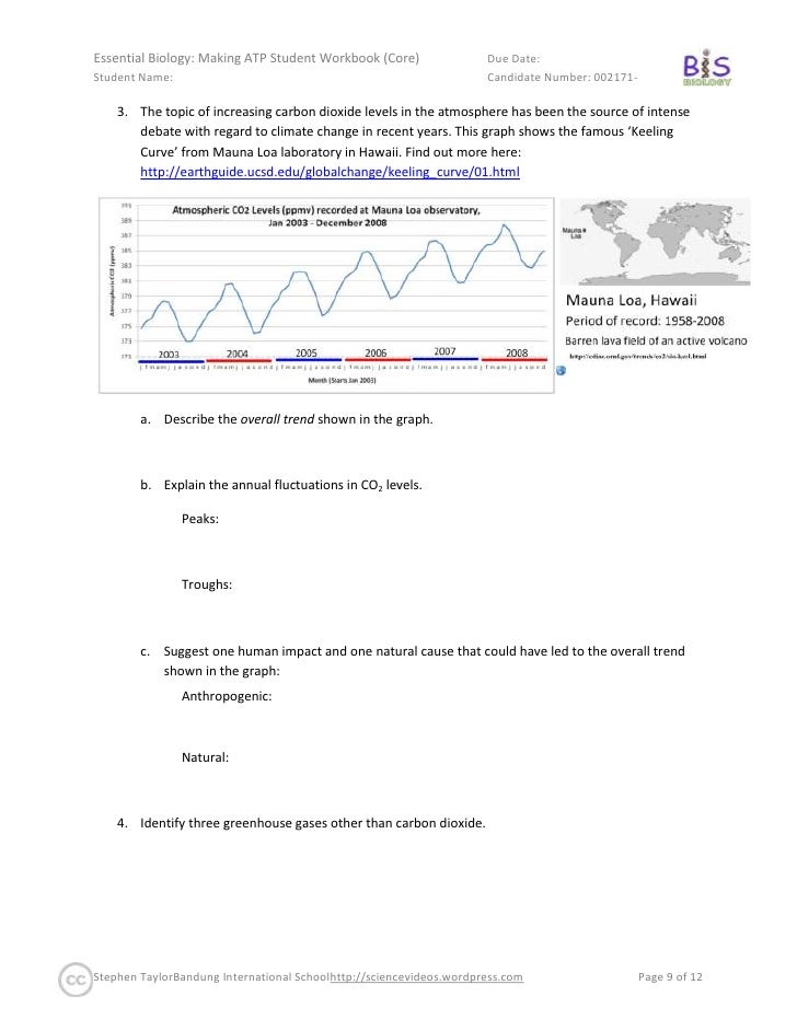Essential Biology Making Atp Workbook Sl Core Only Essential Biology Making Atp Workbook Sl Core Only