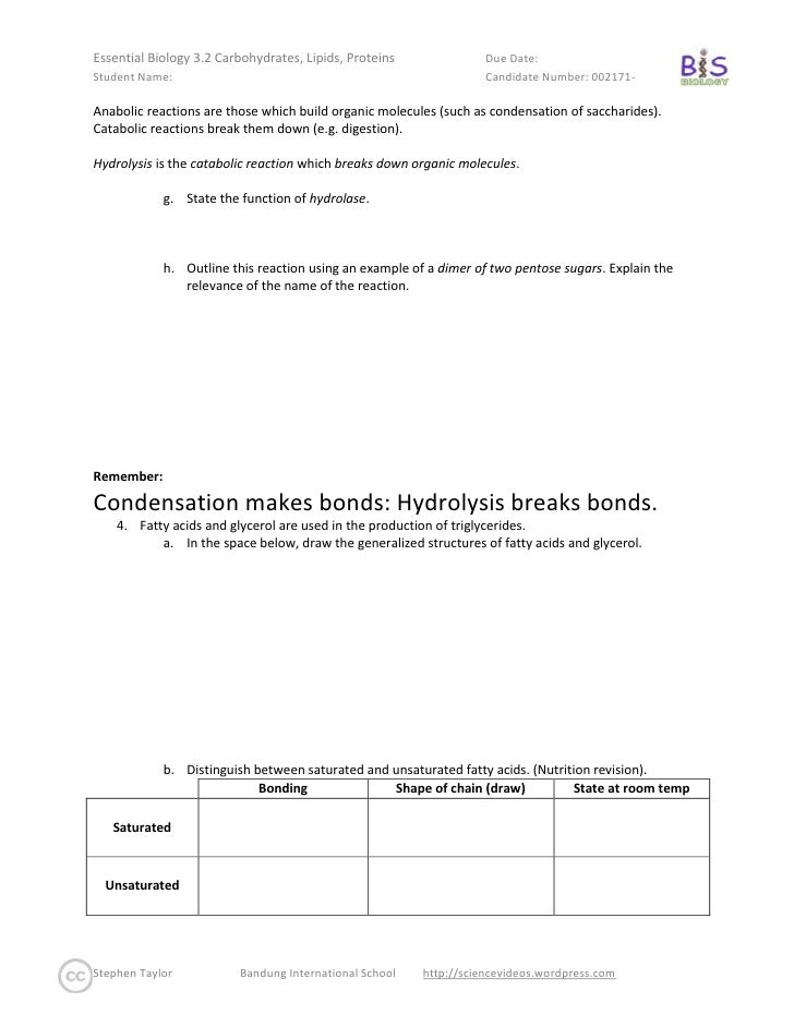 proteins lipids or carbohydrates biology essay Ib past paper questions: carbohydrates, lipids, proteins and nucleic acids (incl dna replication) - free download as (rtf), pdf file (pdf), text file (txt) or read online for free a collection of questions from old ib papers. proteins lipids or carbohydrates biology essay Ib past paper questions: carbohydrates, lipids, proteins and nucleic acids (incl dna replication) - free download as (rtf), pdf file (pdf), text file (txt) or read online for free a collection of questions from old ib papers.