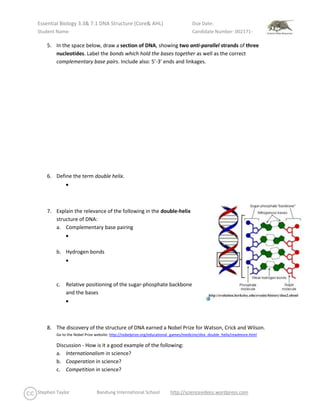 Essential Biology 3.3 & 7.1 DNA Structure (Core & AHL) | DOCX