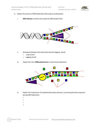 Essential Biology 3.4 & 7.2 DNA Replication (Core & AHL) | DOCX