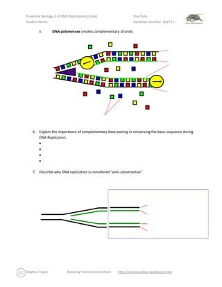 dna replication diagram worksheet