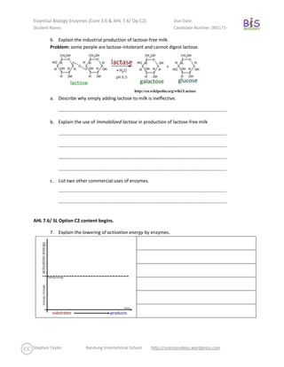 State the suffix usually applied to the end of the name of enzymes and list three examples, with their functions. 