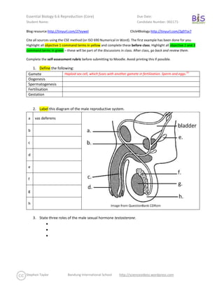 Blog resource: http://tinyurl.com/27eywel               Click4Biology: http://tinyurl.com/2g97zx7 <br />Cite all sources using the CSE method (or ISO 690 Numerical in Word). The first example has been done for you. Highlight all objective 1 command terms in yellow and complete these before class. Highlight all objective 2 and 3 command terms in green – these will be part of the discussions in class. After class, go back and review them. <br />Complete the self-assessment rubric before submitting to Moodle. Avoid printing this if possible. <br />,[object Object]